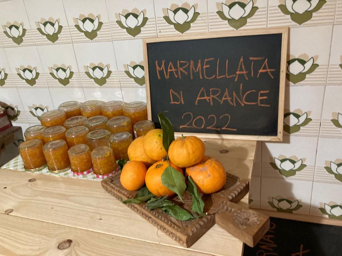 B&B Daddanca Ales Εξωτερικό φωτογραφία