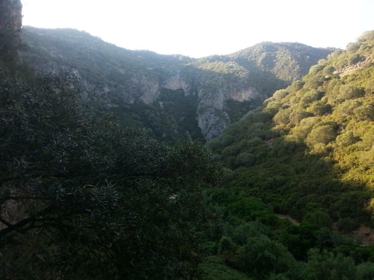 B&B Daddanca Ales Εξωτερικό φωτογραφία